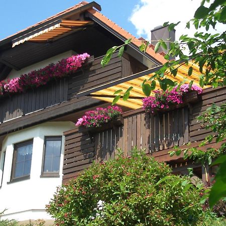 Ferienwohnung Rennsteigblick 苏尔 外观 照片